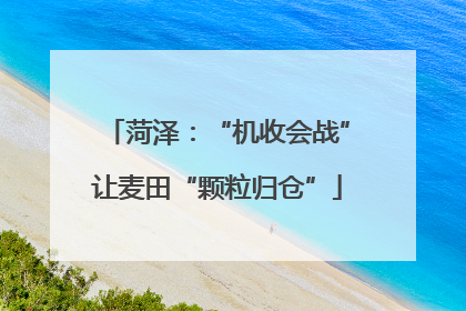 菏泽：“机收会战”让麦田“颗粒归仓”