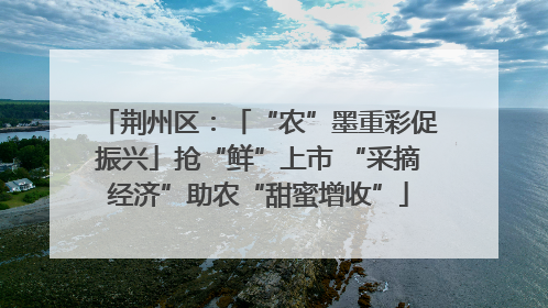 荆州区：「“农”墨重彩促振兴」抢“鲜”上市 “采摘经济”助农“甜蜜增收”