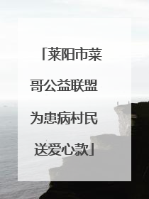 莱阳市菜哥公益联盟为患病村民送爱心款