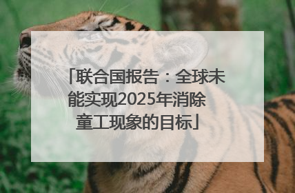联合国报告：全球未能实现2025年消除童工现象的目标
