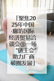 聚焦2025年中国·廊坊国际经济贸易洽谈会③一场“链主会” 助力厂商破圈发展