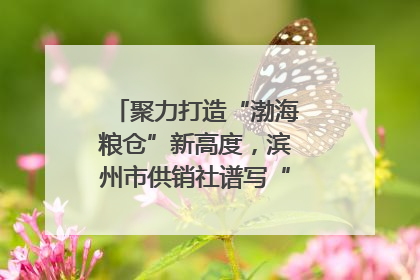 聚力打造“渤海粮仓”新高度，滨州市供销社谱写“三夏”丰收乐章