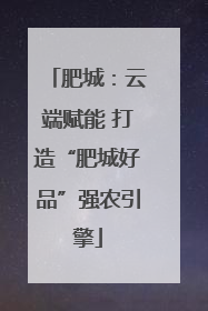 肥城：云端赋能 打造“肥城好品”强农引擎