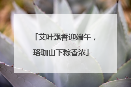 艾叶飘香迎端午，珞珈山下粽香浓