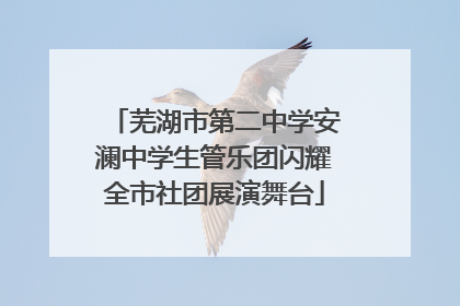 芜湖市第二中学安澜中学生管乐团闪耀全市社团展演舞台
