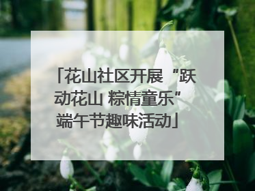 花山社区开展“跃动花山 粽情童乐”端午节趣味活动