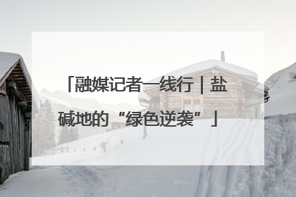 融媒记者一线行｜盐碱地的“绿色逆袭”