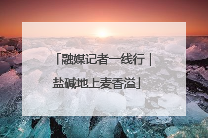 融媒记者一线行｜盐碱地上麦香溢