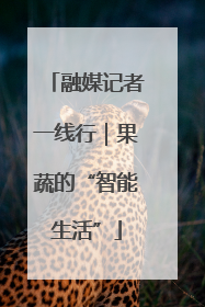 融媒记者一线行｜果蔬的“智能生活”