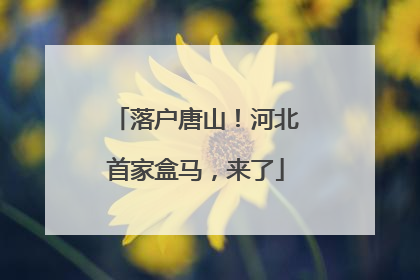 落户唐山！河北首家盒马，来了