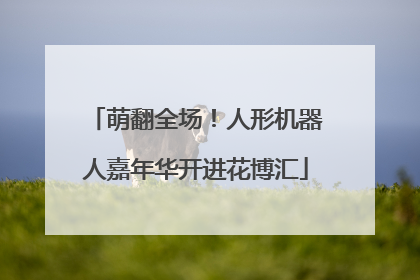 萌翻全场！人形机器人嘉年华开进花博汇