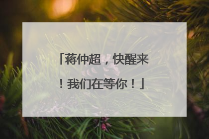 蒋仲超，快醒来！我们在等你！