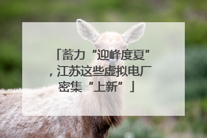 蓄力“迎峰度夏”，江苏这些虚拟电厂密集“上新”