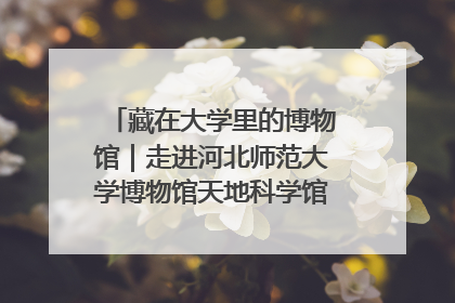 藏在大学里的博物馆｜走进河北师范大学博物馆天地科学馆：在校园里赴一场“宇宙之约”
