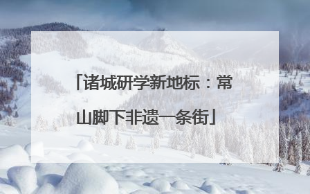 诸城研学新地标：常山脚下非遗一条街