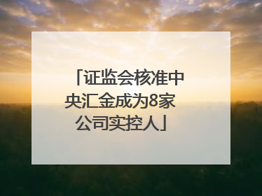 证监会核准中央汇金成为8家公司实控人