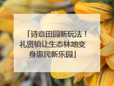 诗意田园新玩法！礼贤镇让生态林地变身惠民新乐园