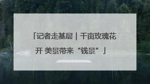 记者走基层｜千亩玫瑰花开 美景带来“钱景”