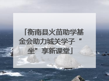 衡南县火苗助学基金会助力城关学子“坐”享新课堂