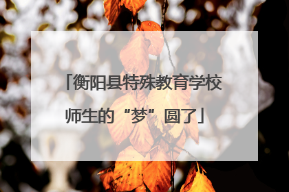 衡阳县特殊教育学校师生的“梦”圆了