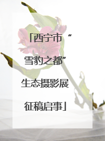 西宁市“雪豹之都”生态摄影展征稿启事