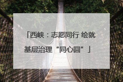 西峡：志愿同行 绘就基层治理“同心圆”