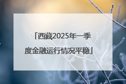 西藏2025年一季度金融运行情况平稳