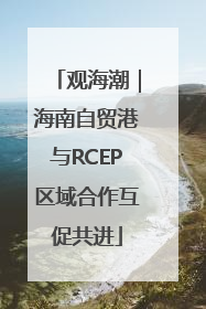 观海潮｜海南自贸港与RCEP区域合作互促共进