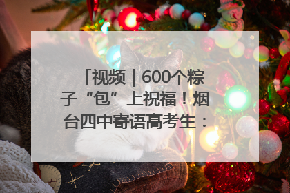视频｜600个粽子“包”上祝福！烟台四中寄语高考生：一举高“粽”