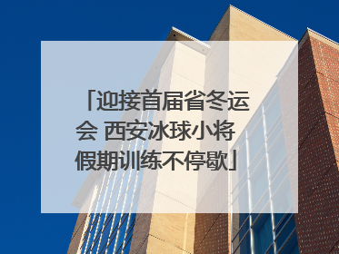 迎接首届省冬运会 西安冰球小将假期训练不停歇
