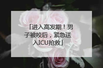 进入高发期！男子被咬后，紧急送入ICU抢救