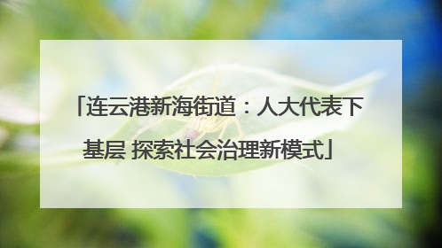 连云港新海街道：人大代表下基层 探索社会治理新模式