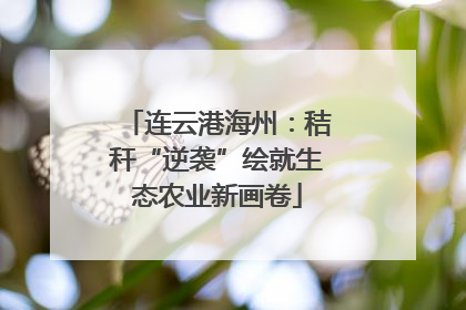 连云港海州：秸秆“逆袭”绘就生态农业新画卷