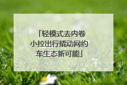轻模式去内卷 小拉出行撬动网约车生态新可能