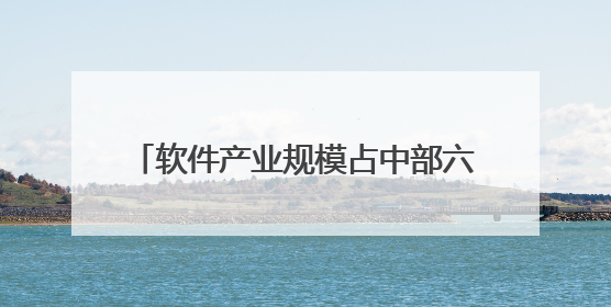 软件产业规模占中部六省总量逾半 湖北“软实力”引来杭州两小龙