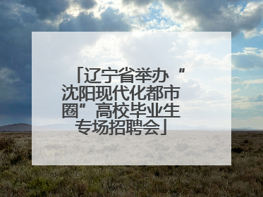 辽宁省举办“沈阳现代化都市圈”高校毕业生专场招聘会
