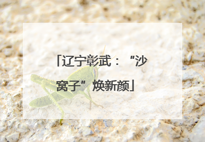 辽宁彰武：“沙窝子”焕新颜
