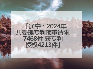 辽宁：2024年共受理专利预审请求7468件 获专利授权4213件