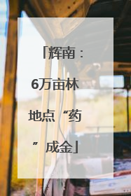 辉南：6万亩林地点“药”成金
