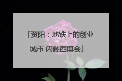 资阳：地铁上的创业城市 闪耀西博会