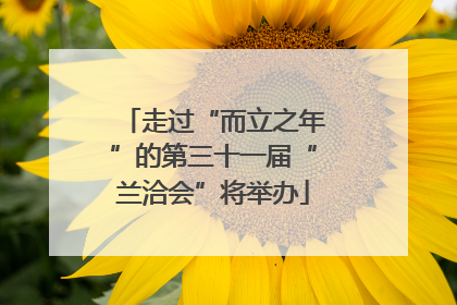 走过“而立之年”的第三十一届“兰洽会”将举办