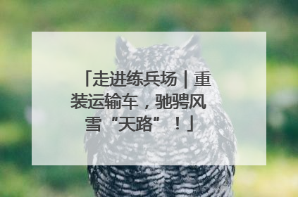 走进练兵场｜重装运输车，驰骋风雪“天路”！