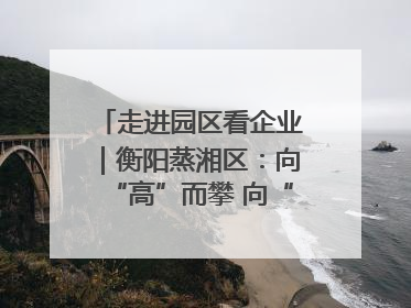 走进园区看企业｜衡阳蒸湘区：向“高”而攀 向“新”而行