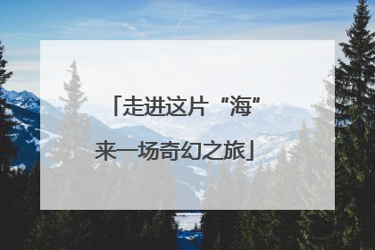 走进这片“海”来一场奇幻之旅