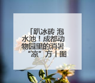 趴冰砖 泡水池！成都动物园里的消暑“凉”方丨图集