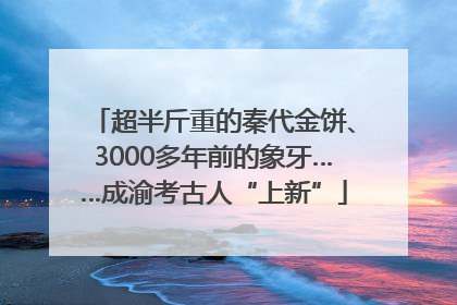 超半斤重的秦代金饼、3000多年前的象牙……成渝考古人“上新”