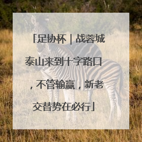 足协杯｜战蓉城泰山来到十字路口，不管输赢，新老交替势在必行