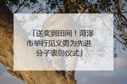 送奖到田间！菏泽市举行见义勇为先进分子表彰仪式
