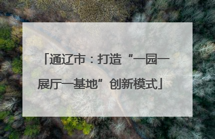 通辽市：打造“一园一展厅一基地”创新模式