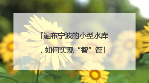 遍布宁波的小型水库，如何实现“智”管